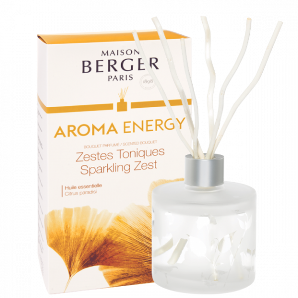 Maison Berger Paris Pálcás Diffúzor Aroma 180ml - Aroma Energy-Ragyogó Életkedv